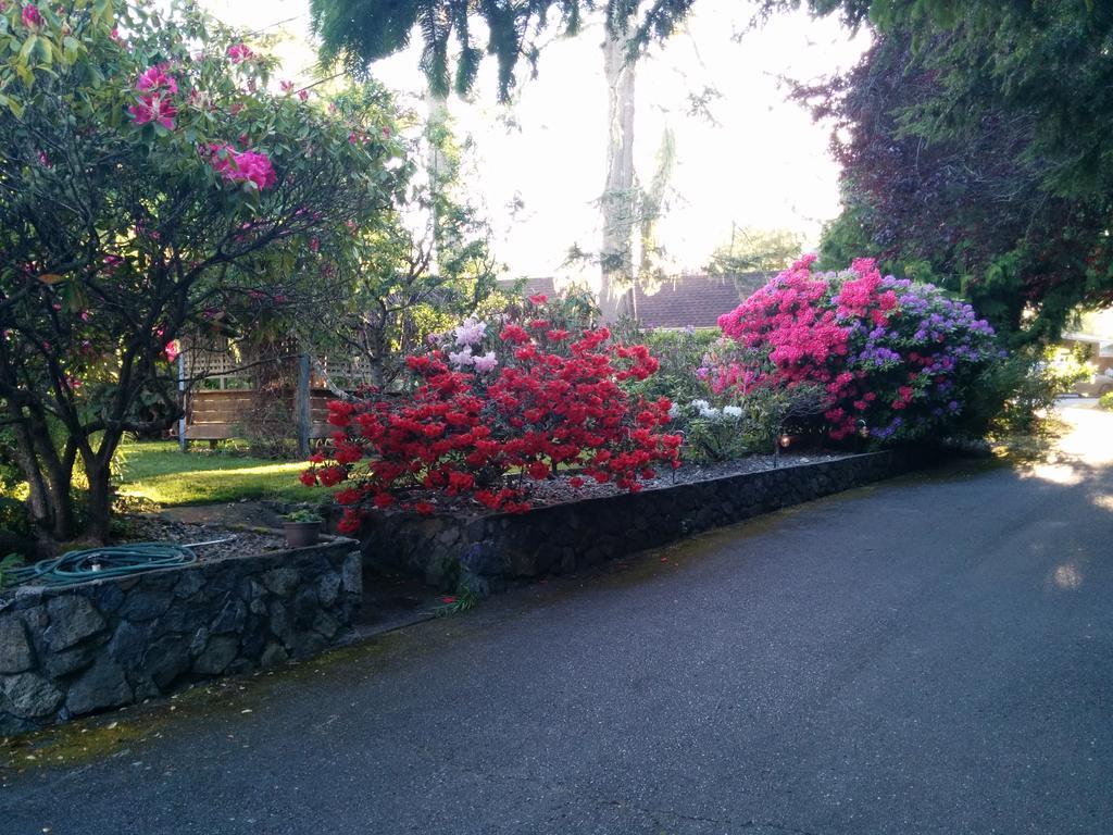 Salty Towers Ocean Front Cottages Sooke Exterior foto
