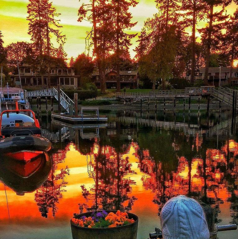 Salty Towers Ocean Front Cottages Sooke Exterior foto